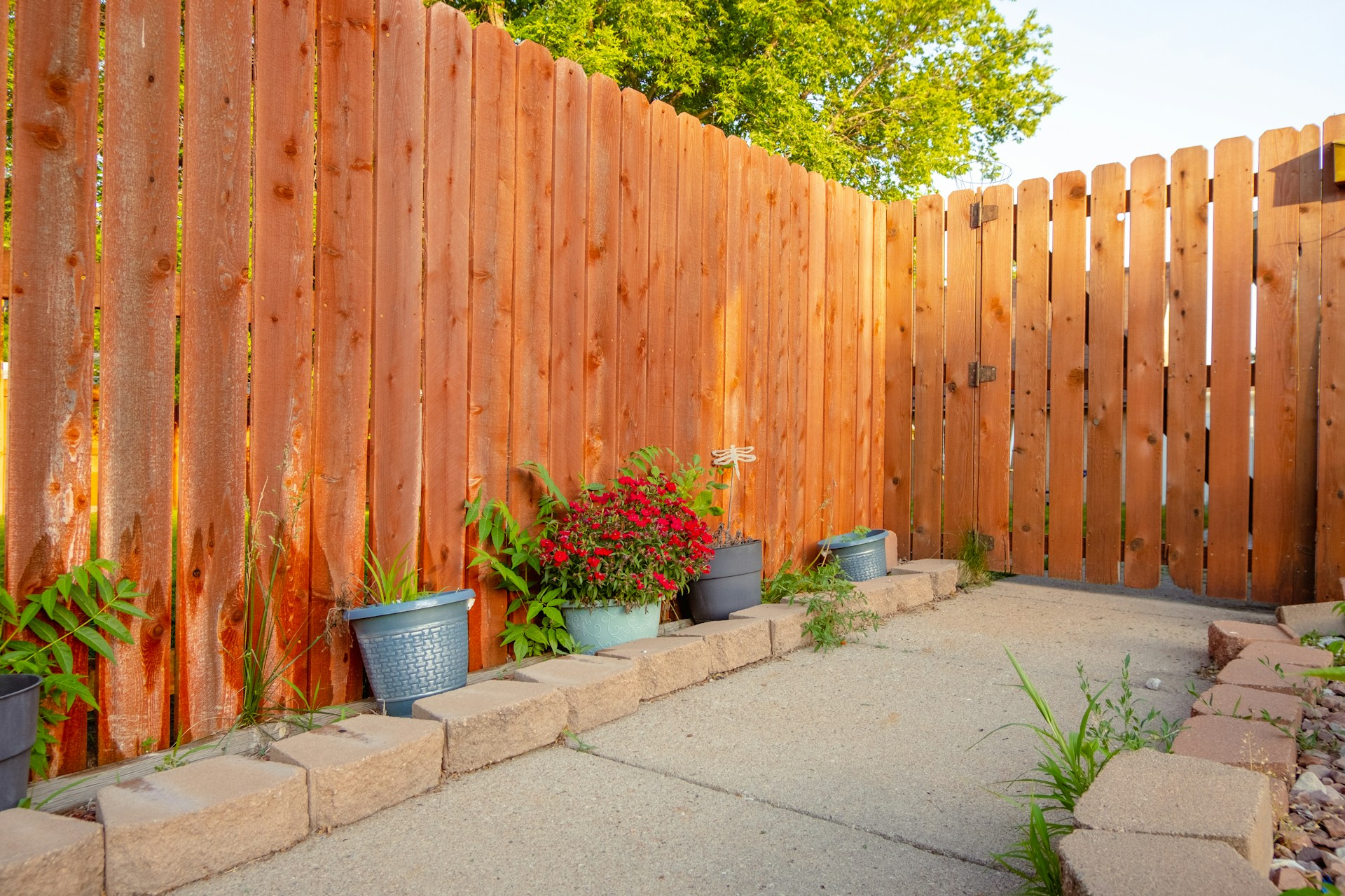 ideas ocultacion jardin