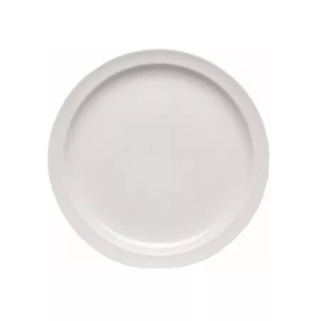 PLATO LLANO EUROPA 250/25 BCO, cerámica blanca, diseño clásico, acabado mate, ideal para presentaciones elegantes.