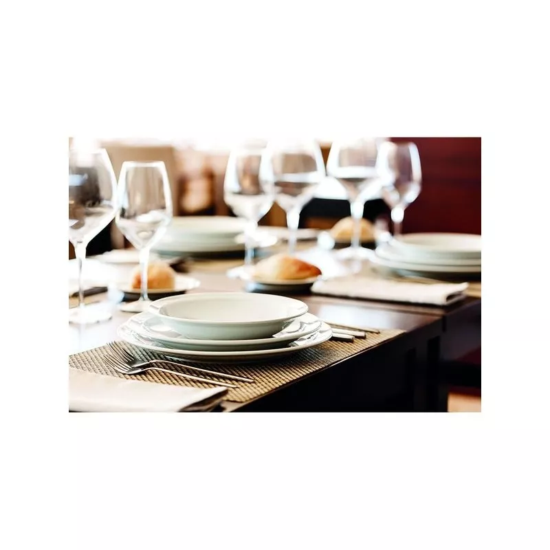 PLATO LLANO EUROPA 250/25 BCO de cerámica blanca, acabado liso y diseño elegante ideal para mesa moderna