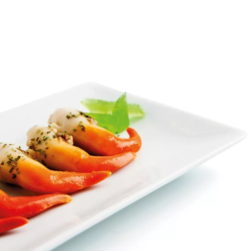 RABANERA 16*9 QUID GASTRO 7406033
