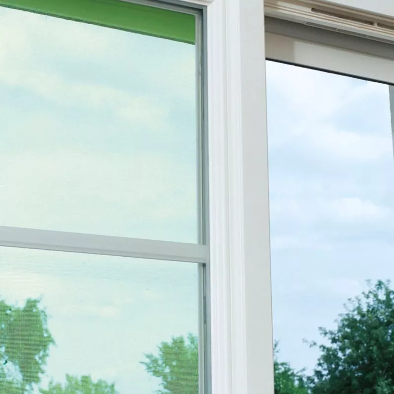 Mosquitera Nortene Mosquiplast 1x3 m verde de malla resistente para ventanas y puertas, fácil instalación.