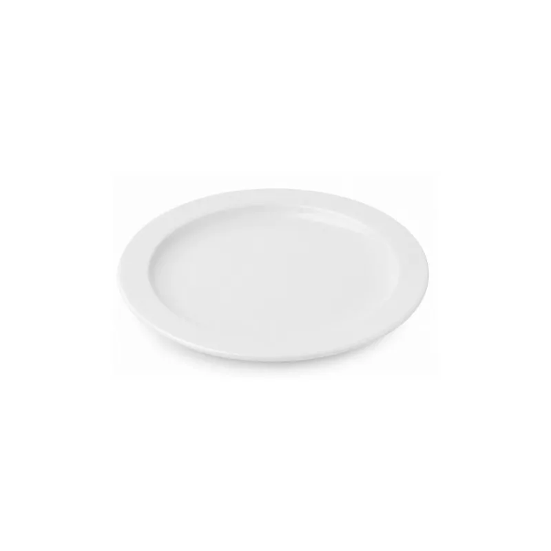 PLATO LLANO EUROPA 28 250/28 BCO de porcelana blanca con diseño liso y acabado brillante, ideal para servir comida.