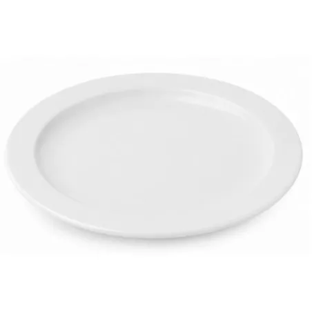 PLATO LLANO EUROPA 28 250/28 BCO de porcelana blanca con diseño liso y acabado brillante, ideal para servir comida.